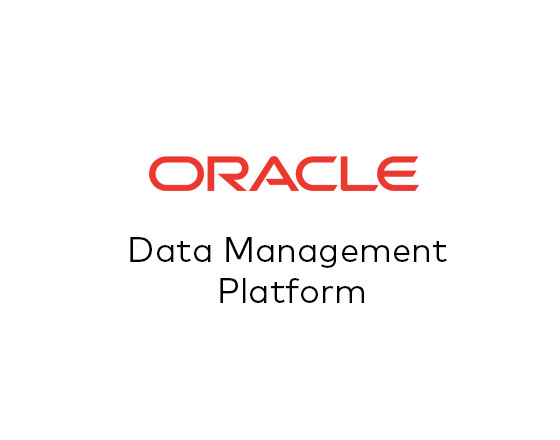 Image of Oracle Data Manage Plat